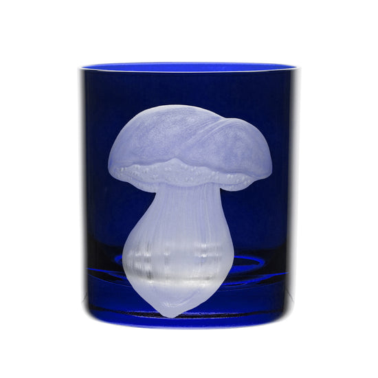 Mushrooms Summer Cep