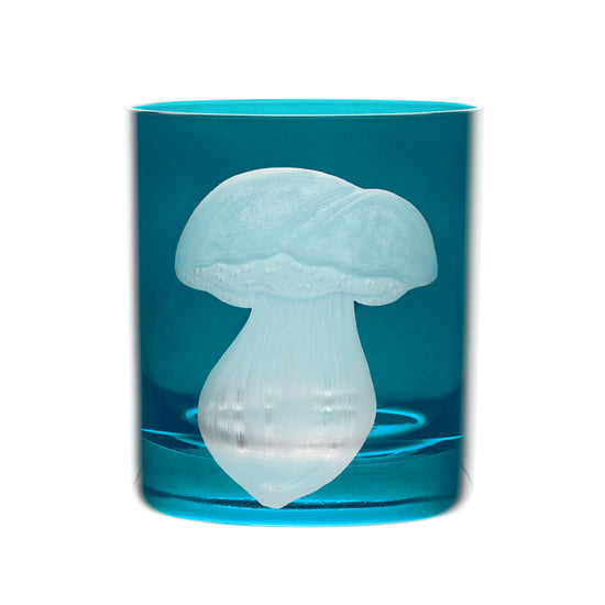 Mushrooms Summer Cep