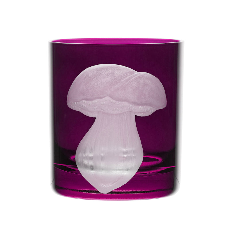 Mushrooms Summer Cep