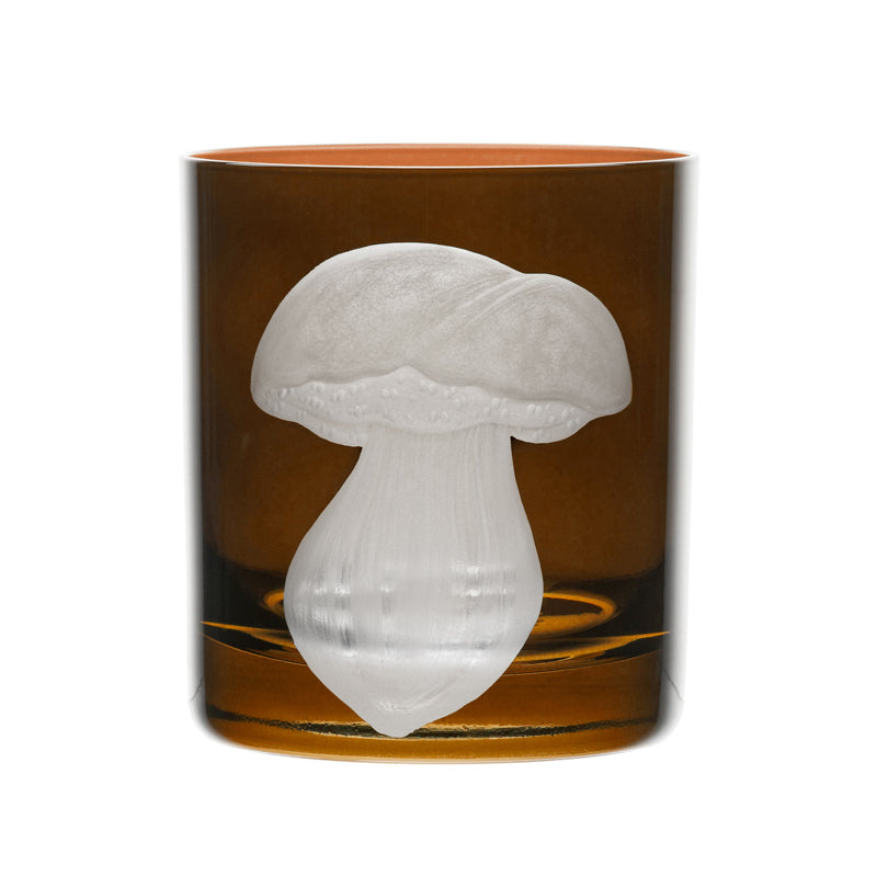 Mushrooms Summer Cep