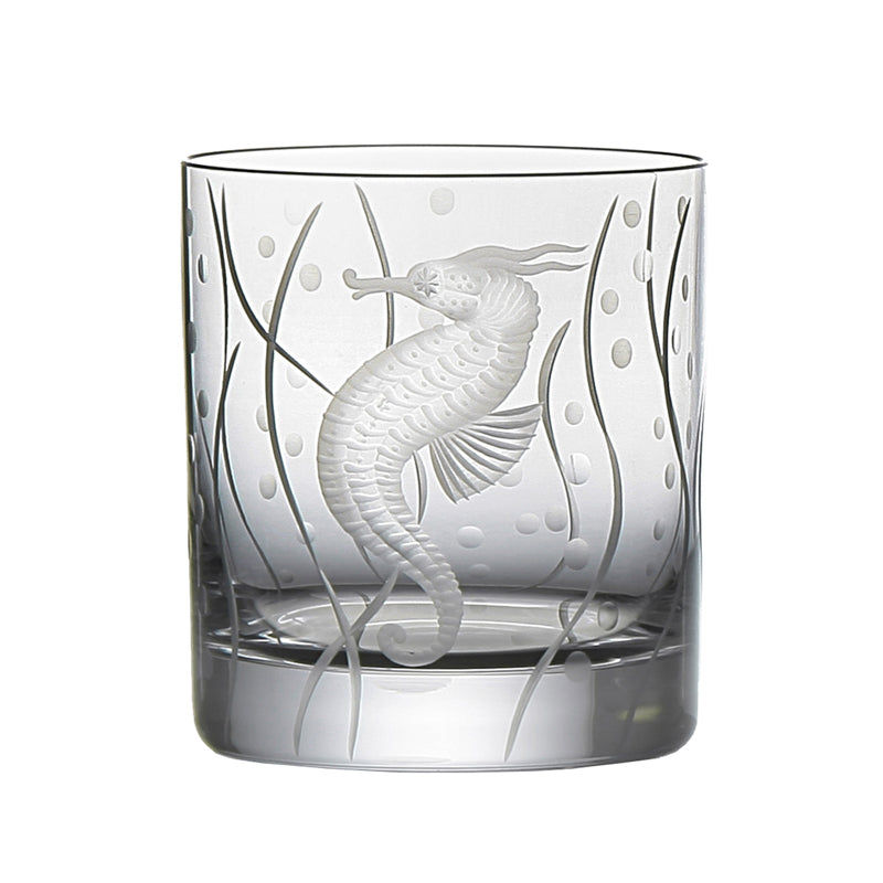Sea Life Seahorse