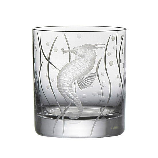 Sea Life Seahorse