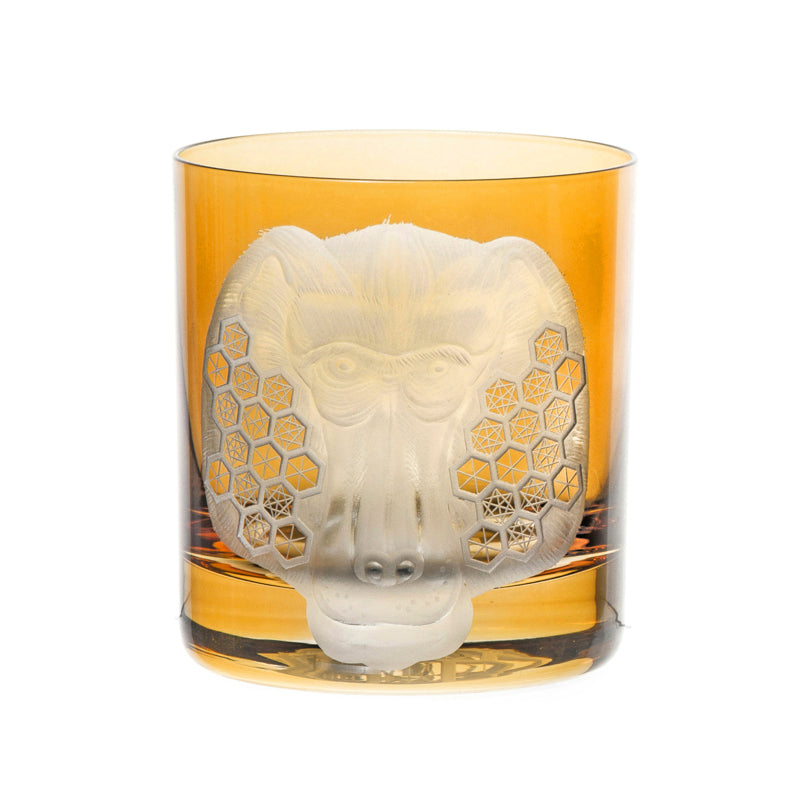 African Safari Baboon