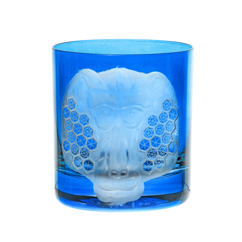 African Safari Baboon