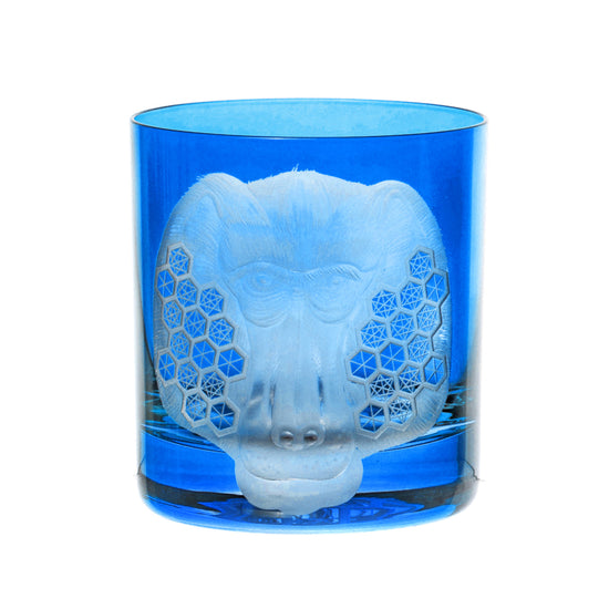 African Safari Baboon