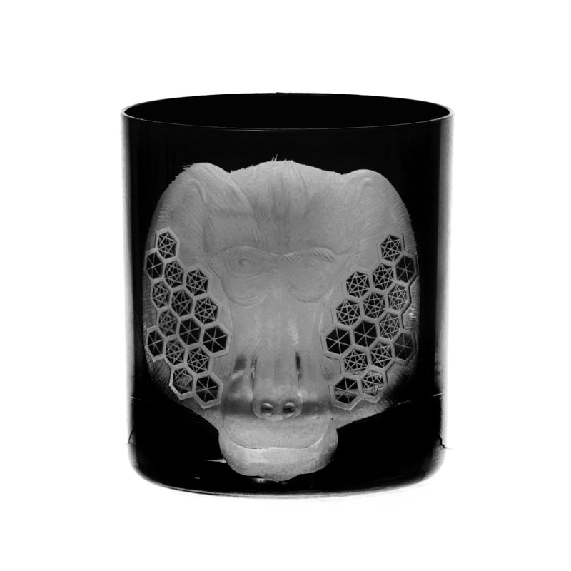 African Safari Baboon