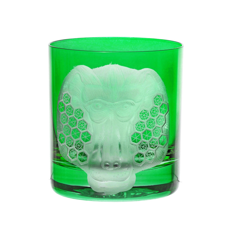 African Safari Baboon