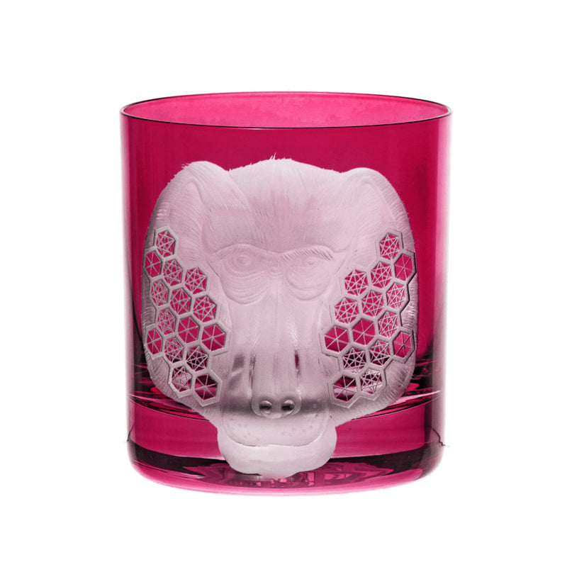 African Safari Baboon