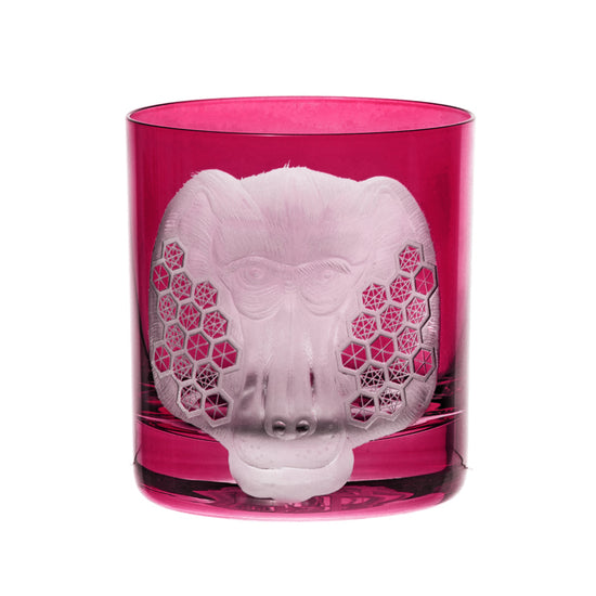 African Safari Baboon