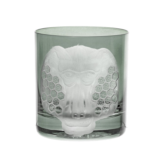 African Safari Baboon