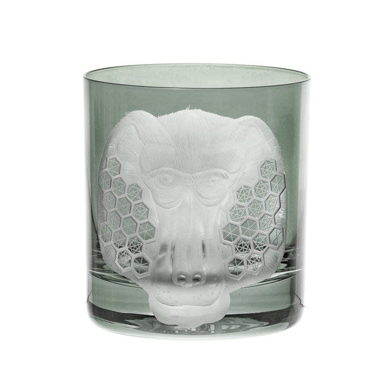 African Safari Baboon