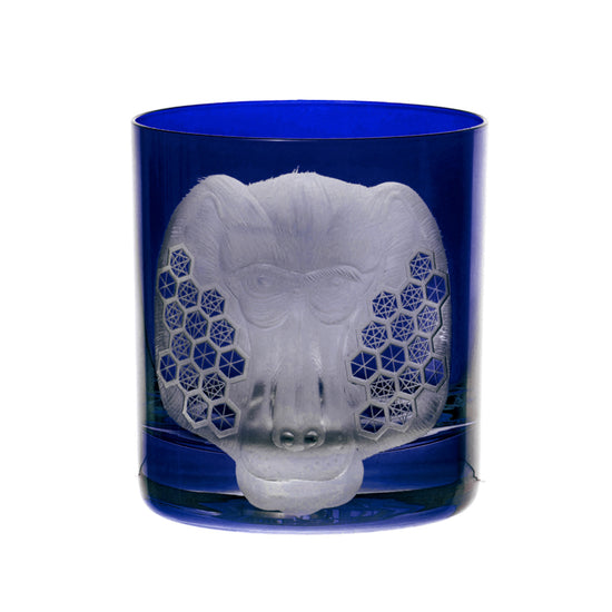 African Safari Baboon