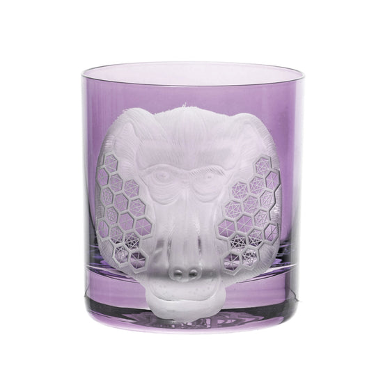 African Safari Baboon