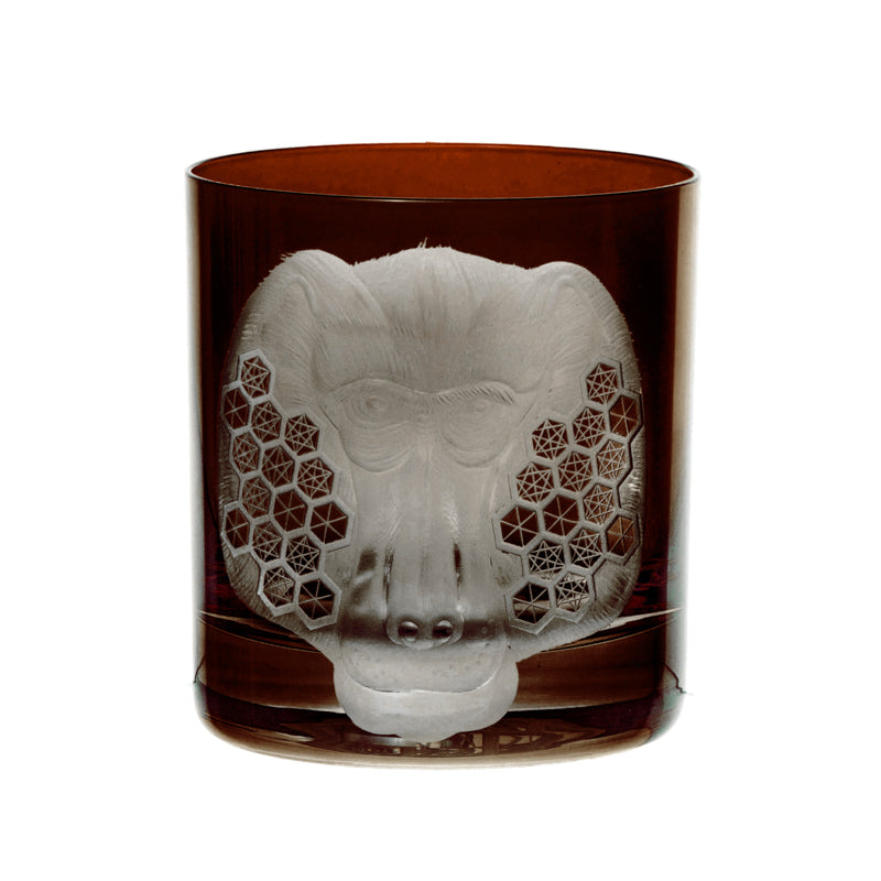 African Safari Baboon