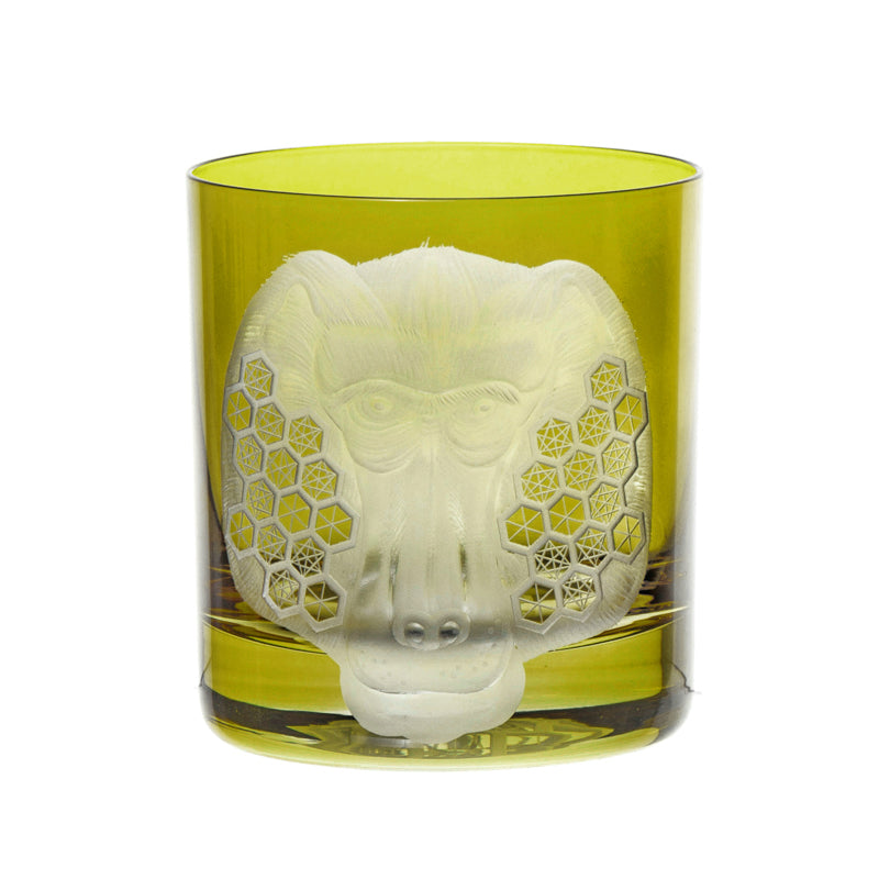 African Safari Baboon