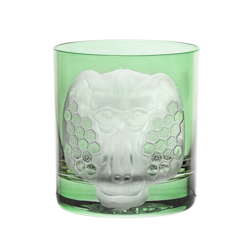 African Safari Baboon