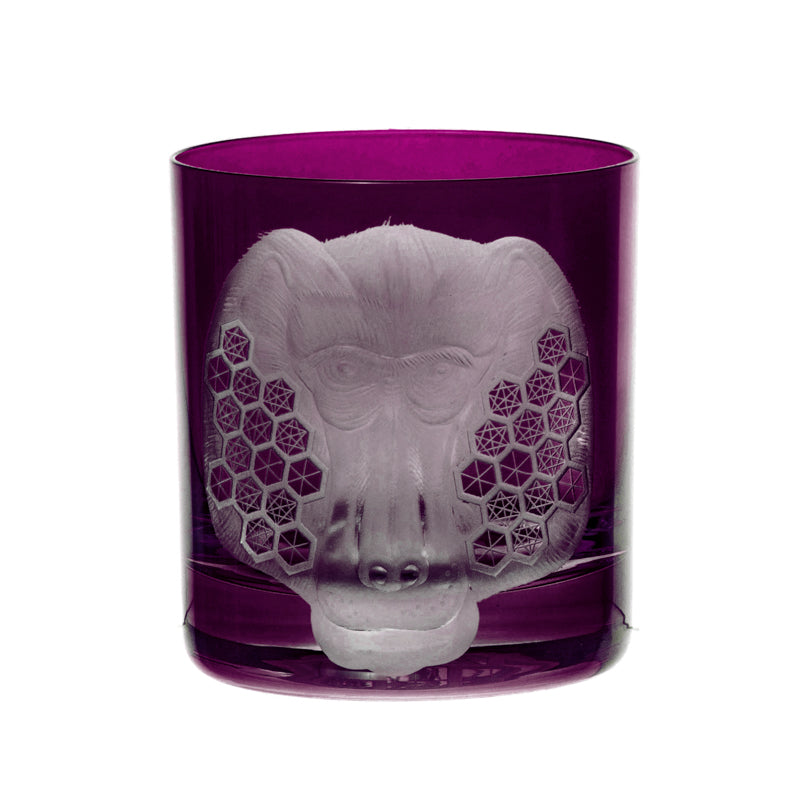 African Safari Baboon