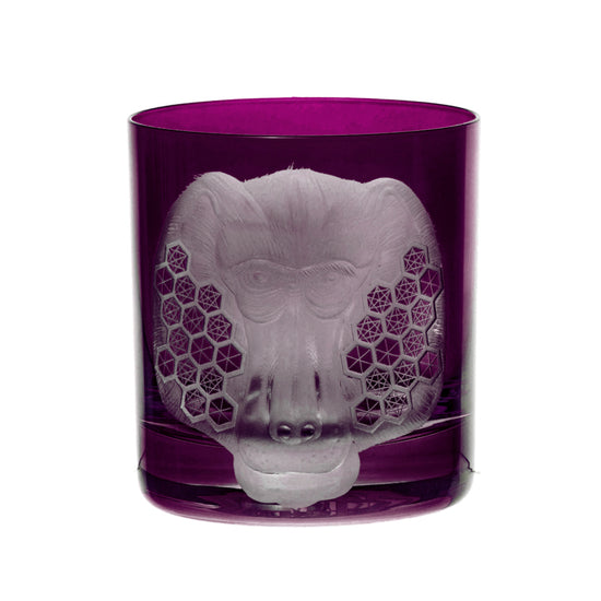 African Safari Baboon