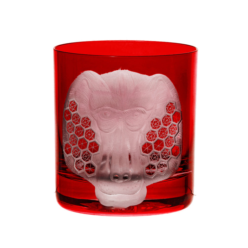 African Safari Baboon