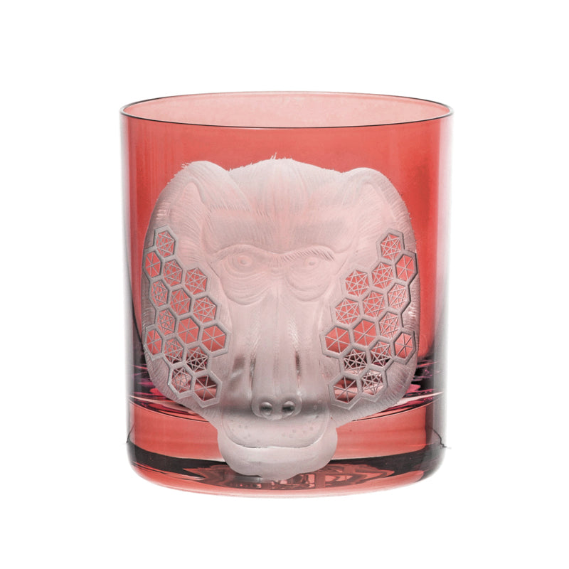 African Safari Baboon