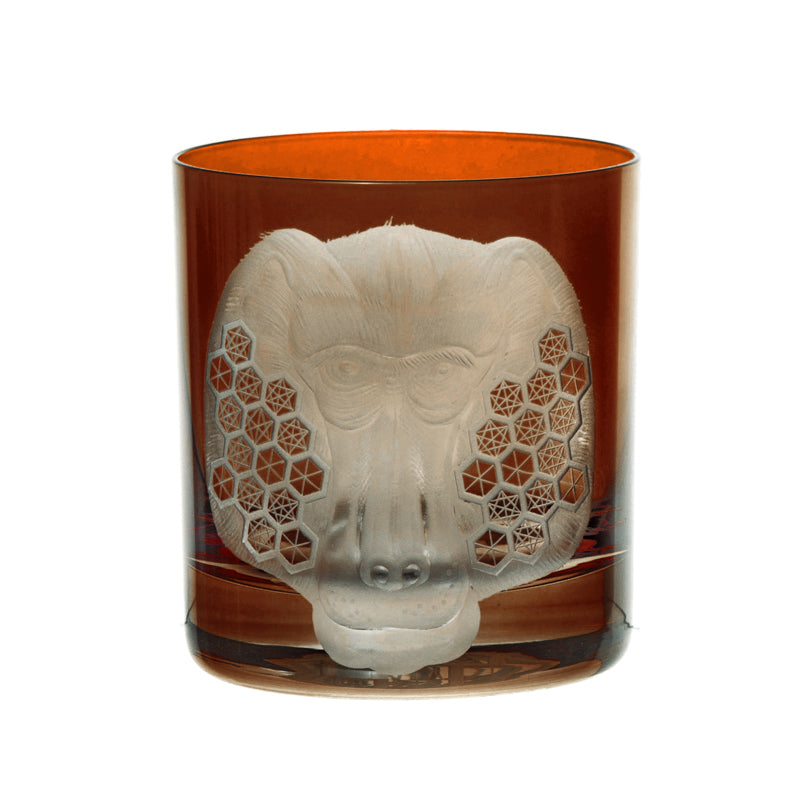 African Safari Baboon