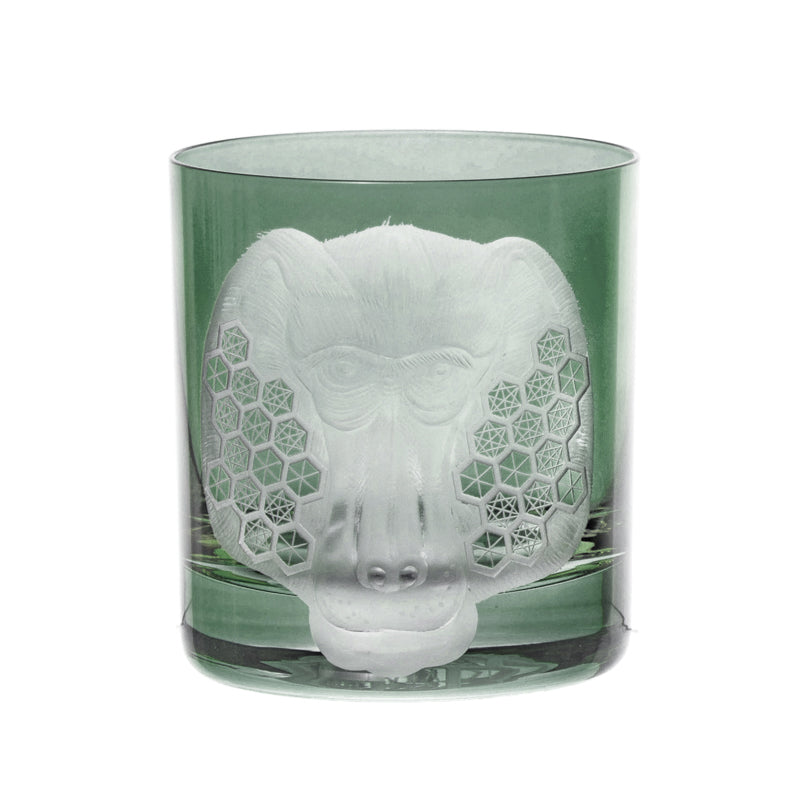 African Safari Baboon