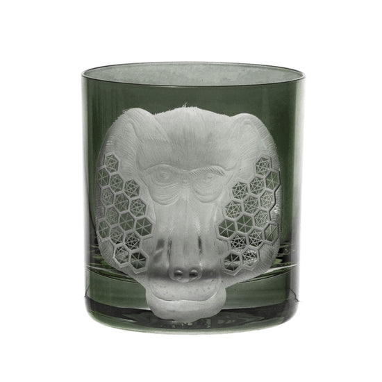 African Safari Baboon