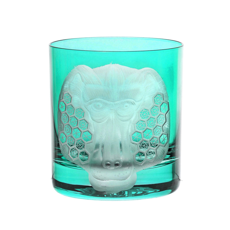 African Safari Baboon