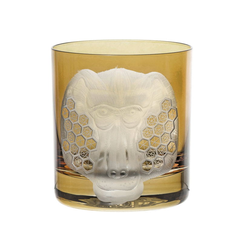 African Safari Baboon