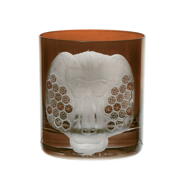 African Safari Baboon