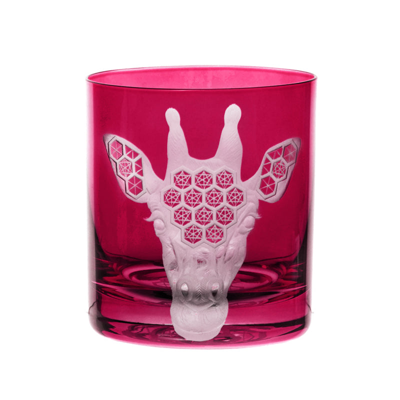 African Safari Giraffe