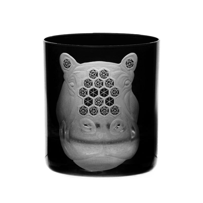 African Safari Hippopotamus