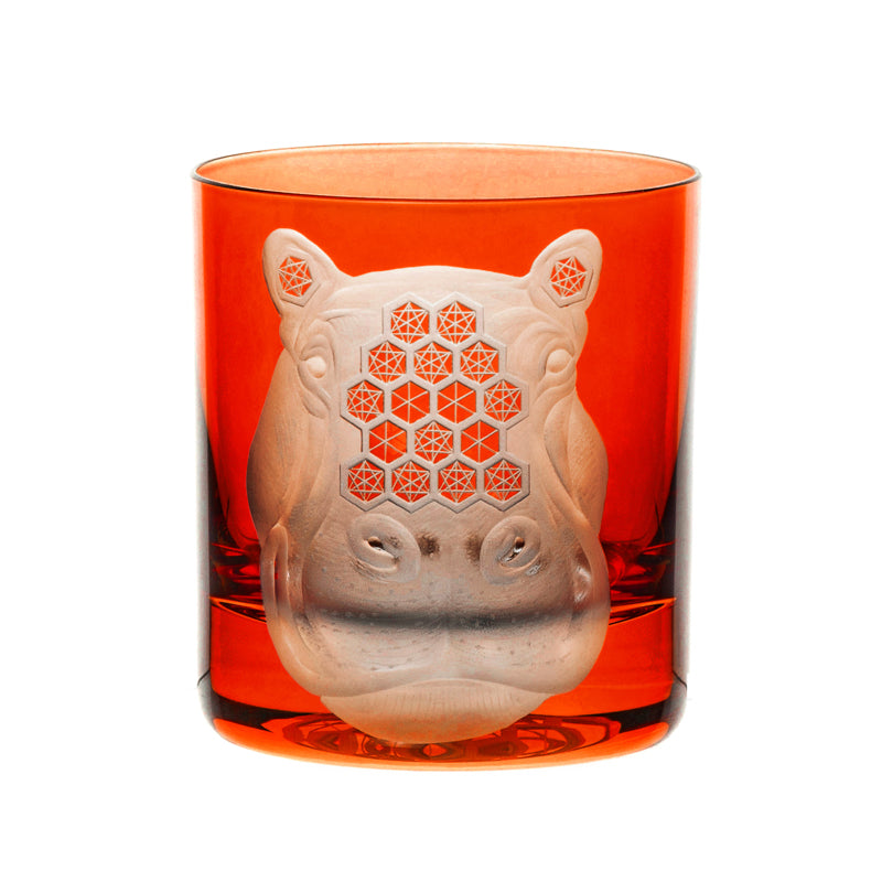 African Safari Hippopotamus