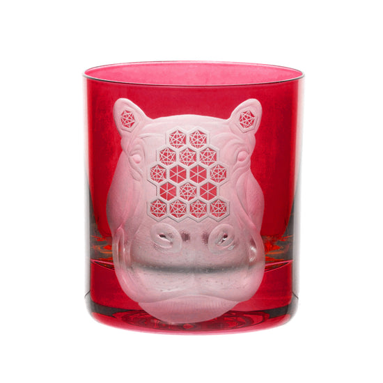 African Safari Hippopotamus