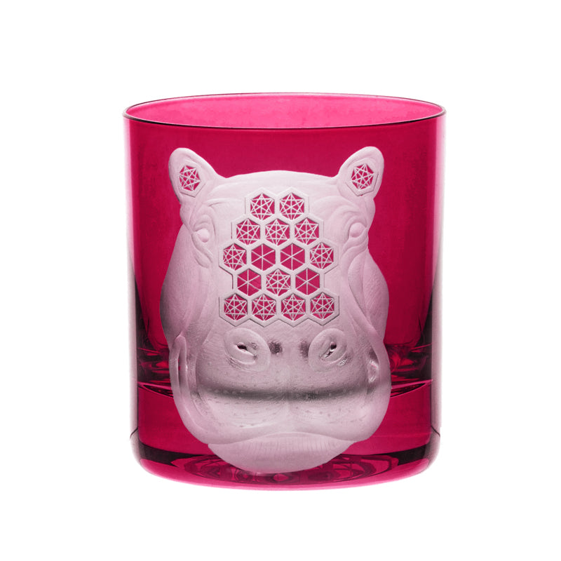 African Safari Hippopotamus