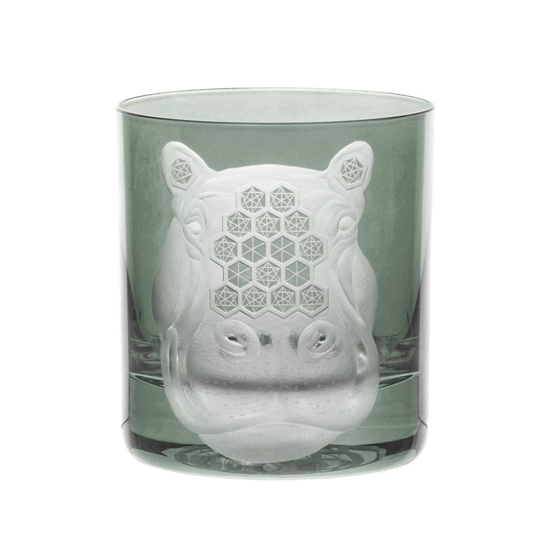 African Safari Hippopotamus