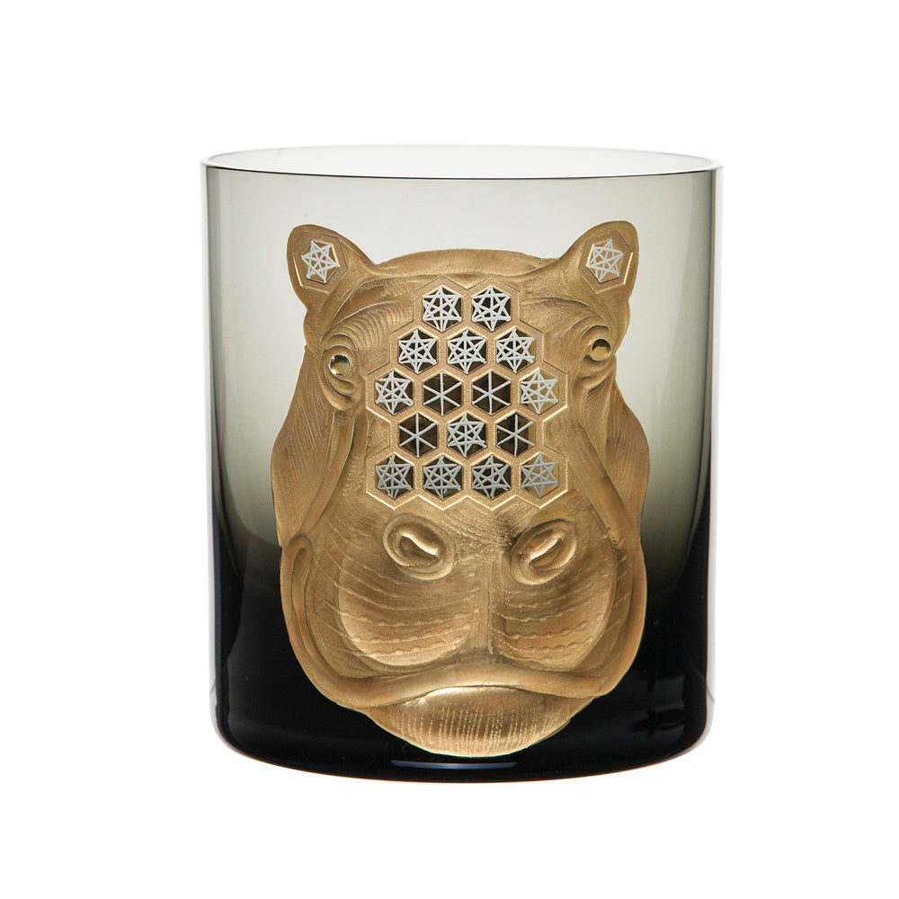 African Safari Hippopotamus