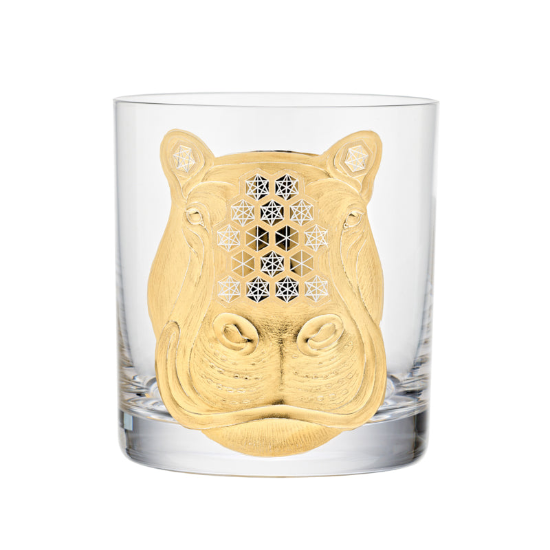 African Safari Hippopotamus