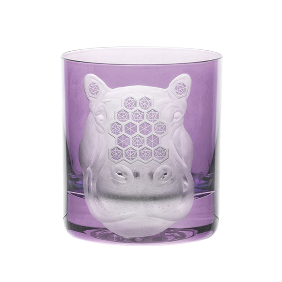 African Safari Hippopotamus