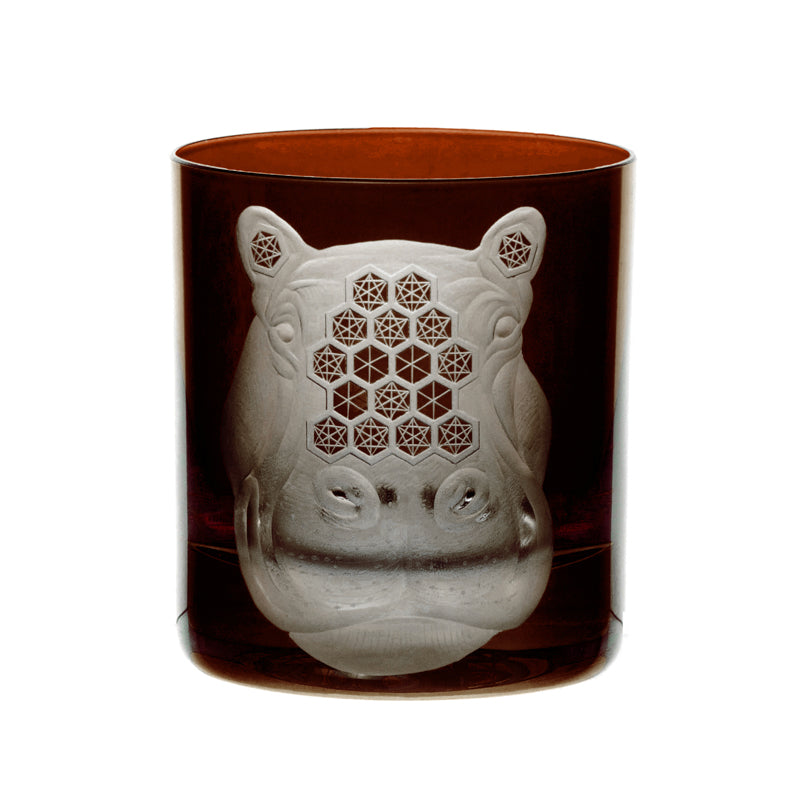 African Safari Hippopotamus