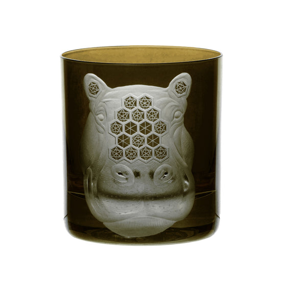 African Safari Hippopotamus