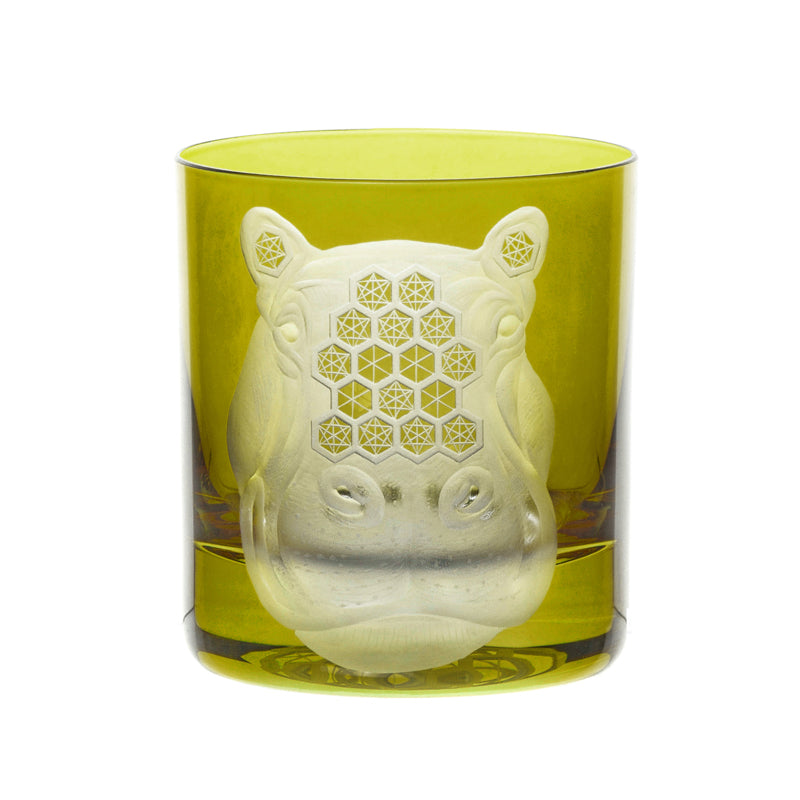 African Safari Hippopotamus