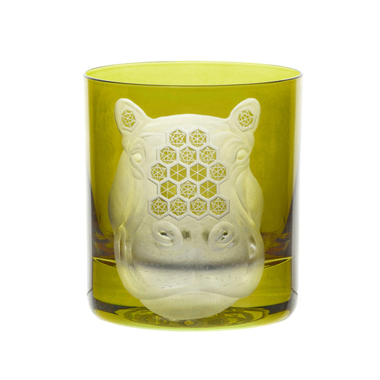 African Safari Hippopotamus