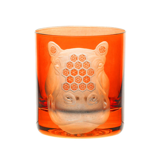 African Safari Hippopotamus