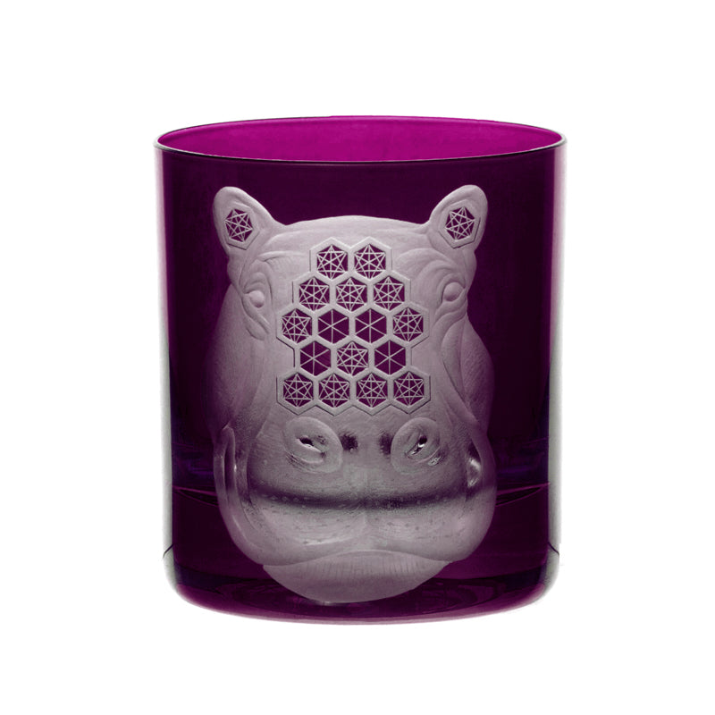 African Safari Hippopotamus