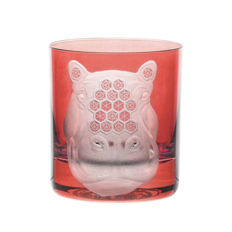 African Safari Hippopotamus