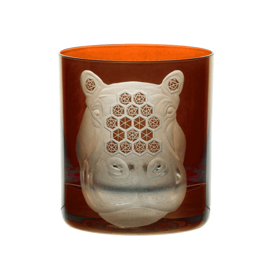 African Safari Hippopotamus