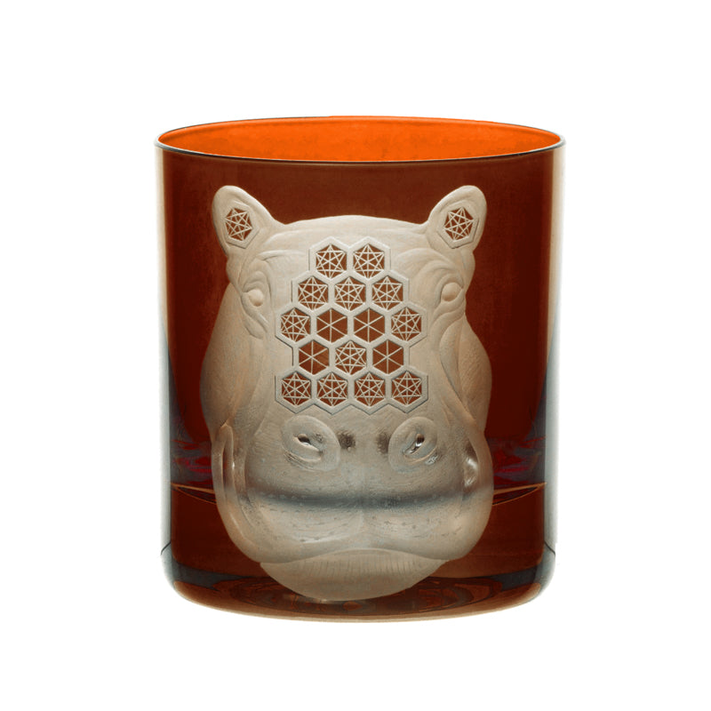 African Safari Hippopotamus