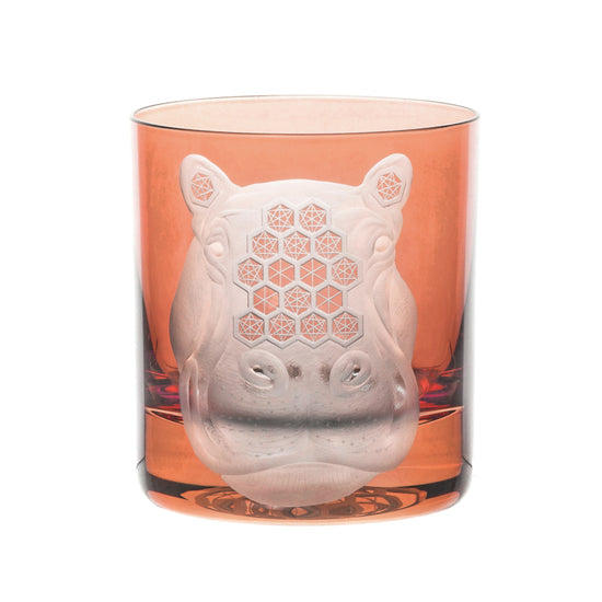 African Safari Hippopotamus