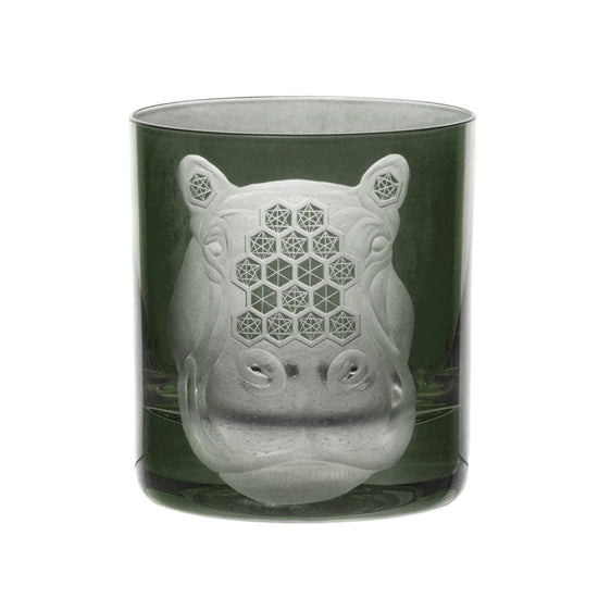 African Safari Hippopotamus